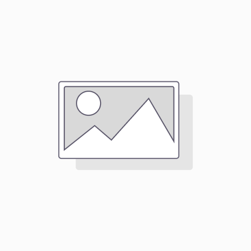 [1010014] ماوس Optical MS1027
